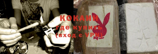 стаф Заводоуковск