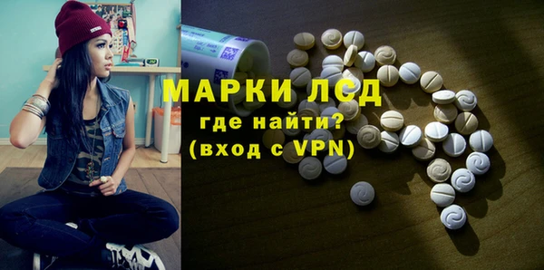 стаф Заводоуковск