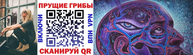 Купить где  Заречный  Галлюциногенные грибы Magic Shrooms 